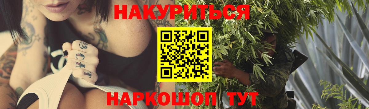 Шишки марихуана конопля  Каннабис конопля  Канабис White Widow  Прокопьевск  Вход с VPN  Конопля план 